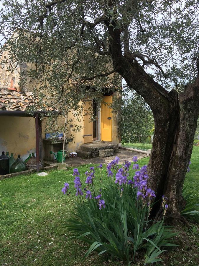 Settignano Tuscany Homes Exterior foto
